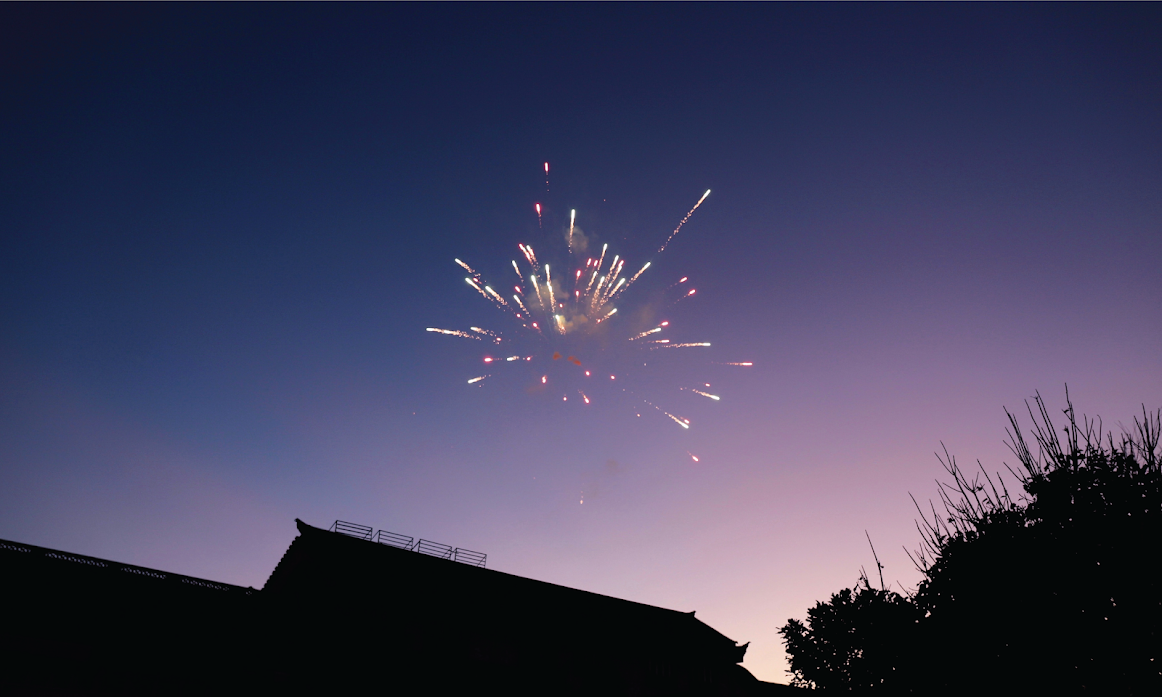 image of firework for new years.