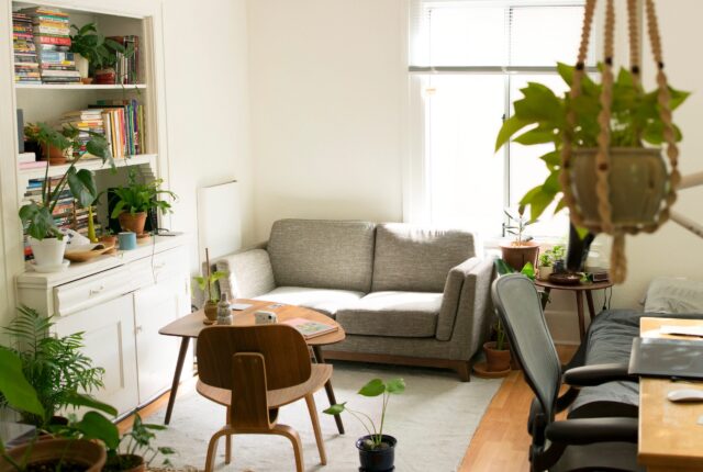 Image showing a small room filled with plants.